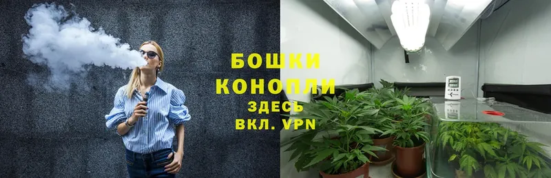 Конопля SATIVA & INDICA  сайты даркнета какой сайт  Ермолино 